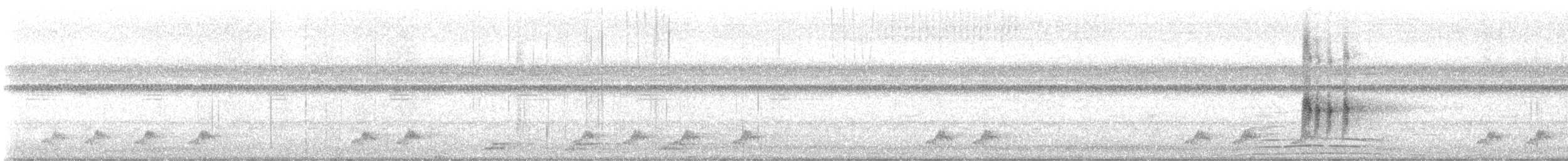 Puerto Rican Nightjar - ML633994009