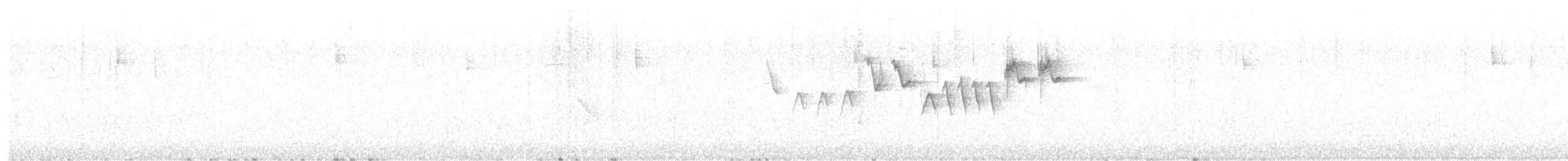 rosenparula - ML633996332