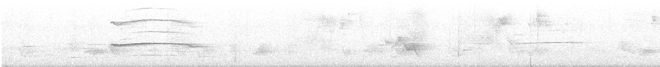 Broad-winged Hawk (Caribbean) - ML634001392