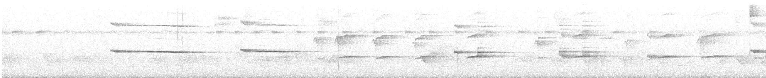 Broad-winged Hawk (Caribbean) - ML634001397