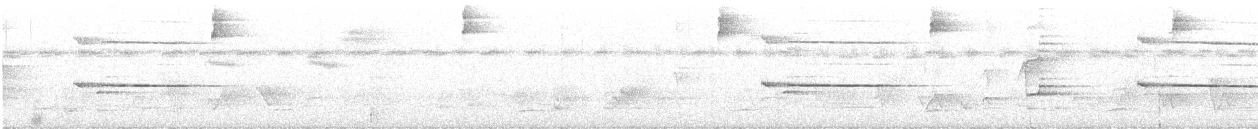 Broad-winged Hawk (Caribbean) - ML634001403