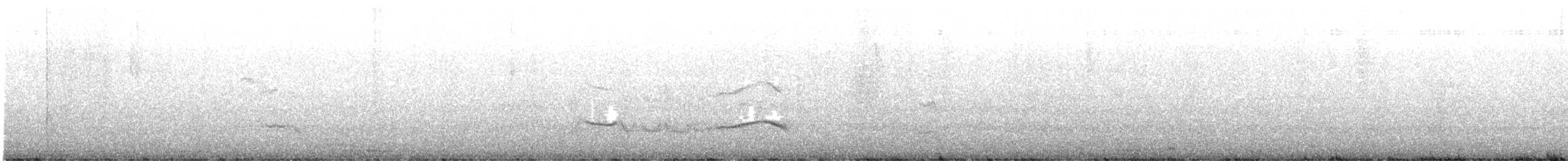 King Penguin - ML634003934