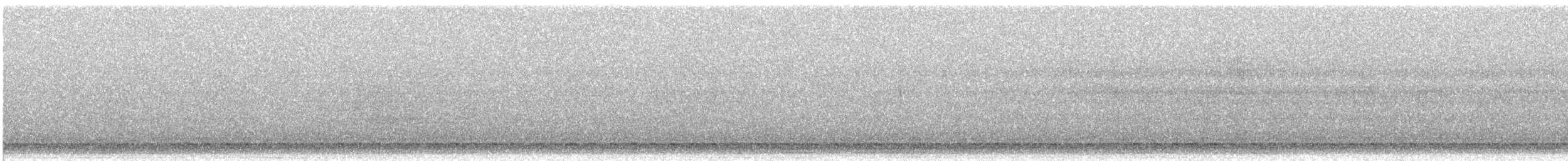 Качка sp. - ML634004694