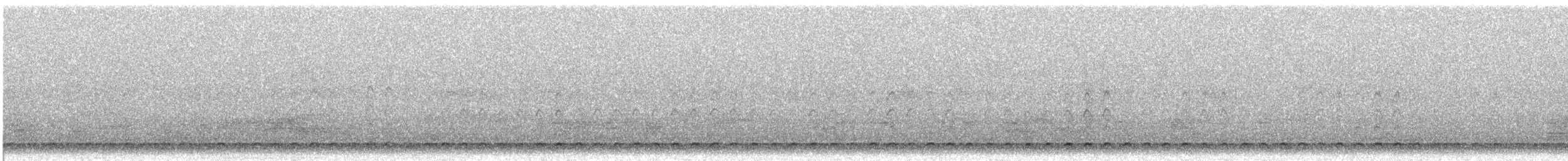 Качка sp. - ML634004695