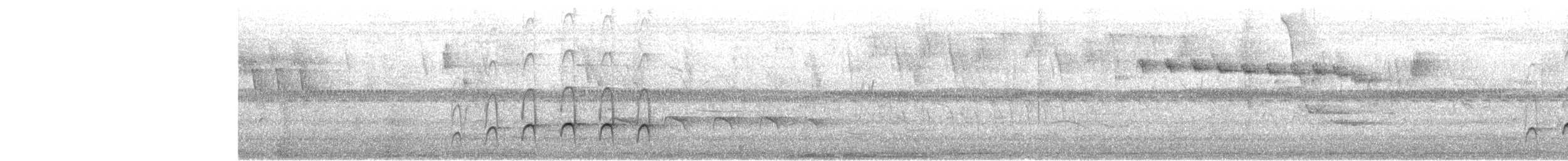 Parker's Antbird - ML634006406