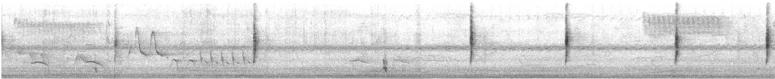 Mourning Warbler - ML634006419