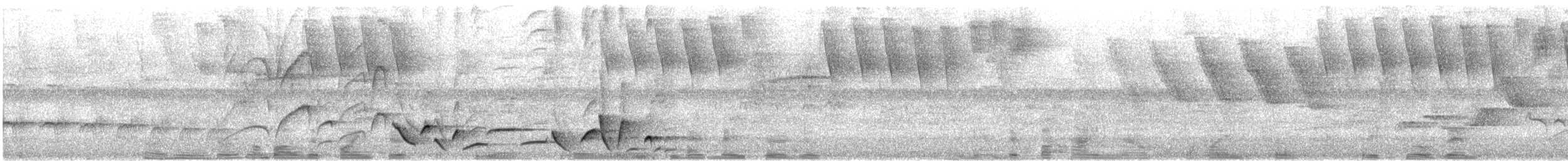 Whiskered Wren - ML634006446