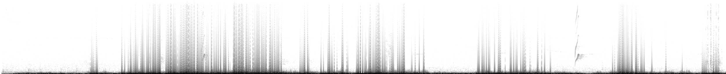 Malaysian Plover - ML634006571