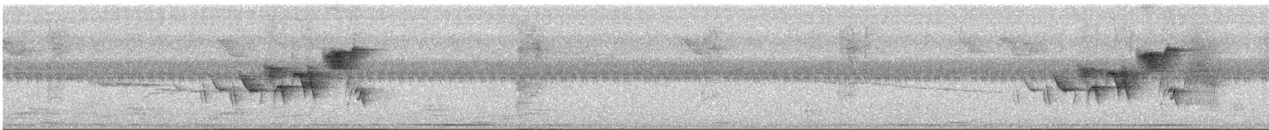 Sporophile à col double - ML634007737