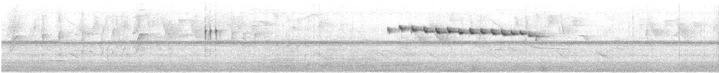 Grayish Piculet - ML634007858