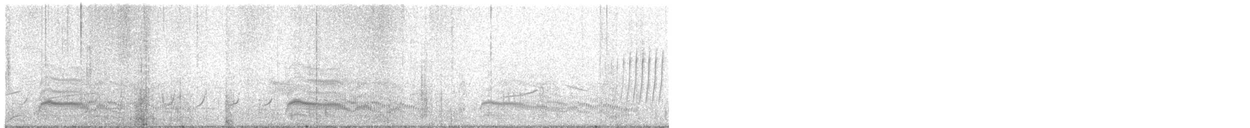 Hartlaub's Gull - ML634008345