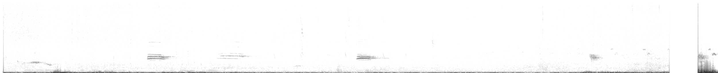 Mégalure caqueteuse - ML634008487