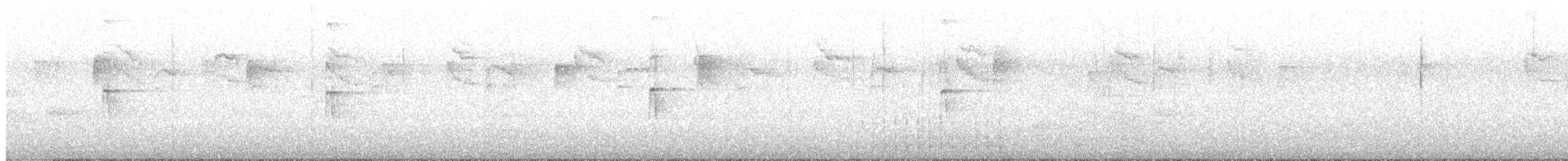 Pic chevelu - ML634012796