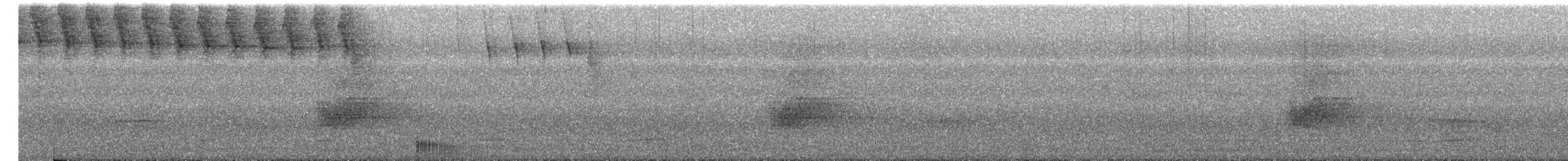 Savanna Nightjar - ML634016613