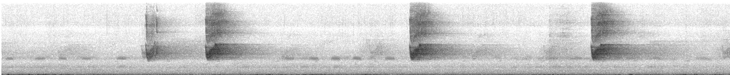 Savanna Nightjar - ML634016649