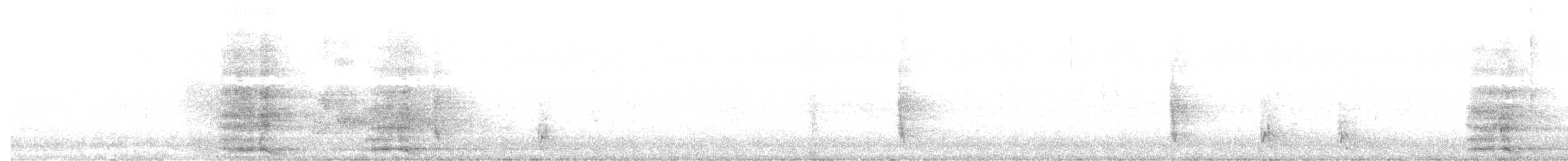 Yellow Wattlebird - ML634018088