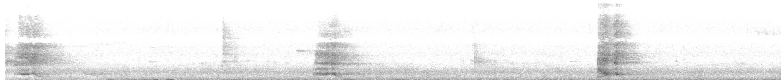 Yellow Wattlebird - ML634018089