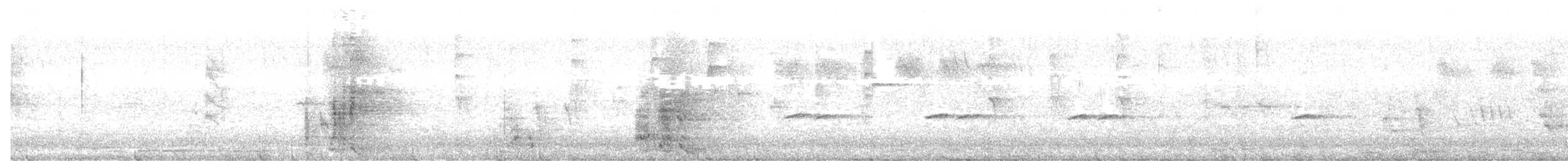 Yellow Wattlebird - ML634018090