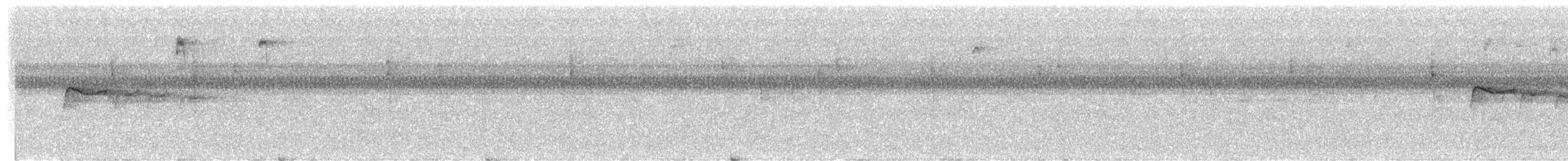 Cuban Pewee - ML634021249