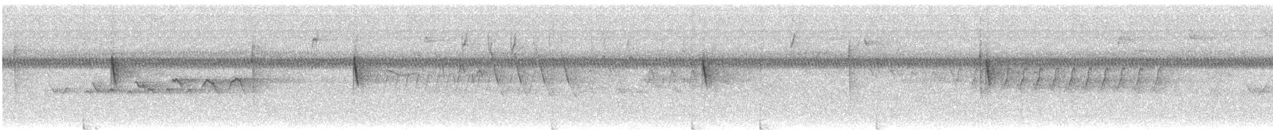bahamasparula - ML634021255