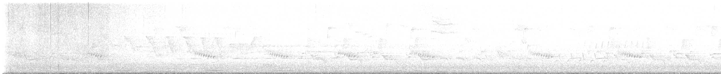 Swainson's Warbler - ML634021490