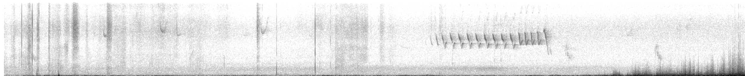 Lucy's Warbler - ML634027213