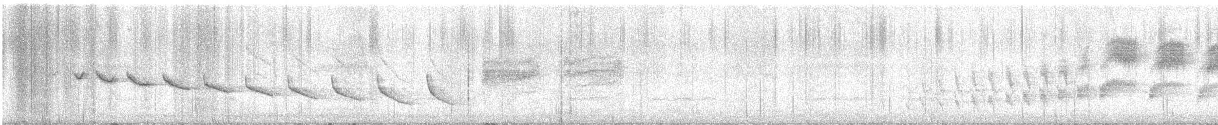 Canyon Wren - ML634028807