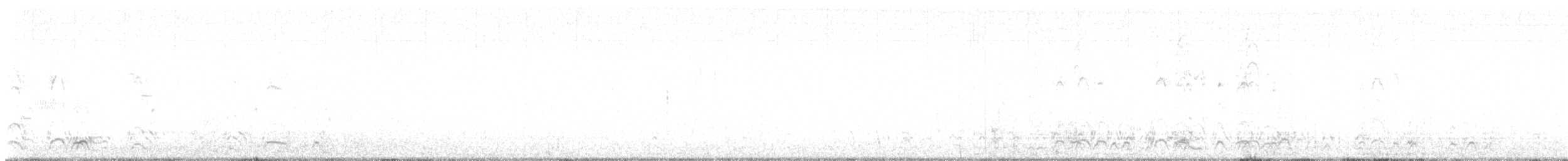 Harlequin Duck - ML634029041