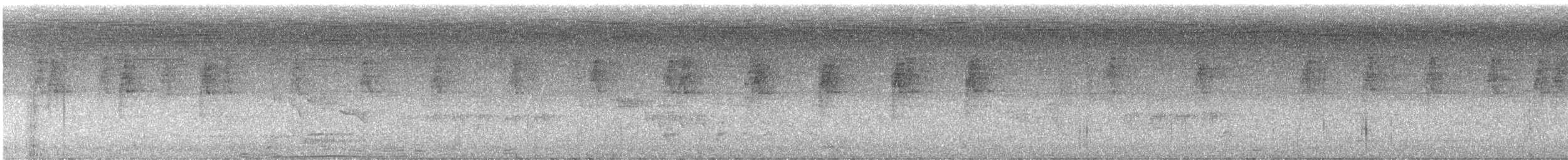 Brown Violetear - ML634031566