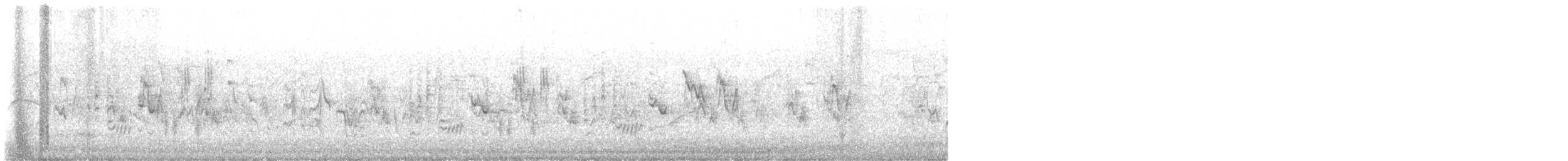 Melodious Warbler - ML634031897