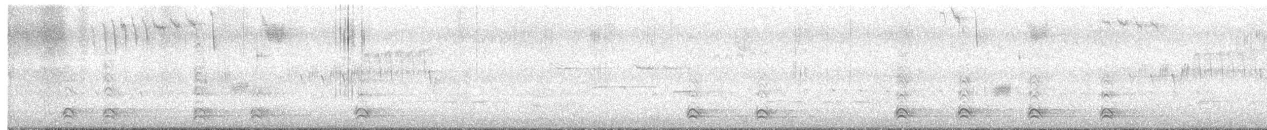 American Crow - ML634034043