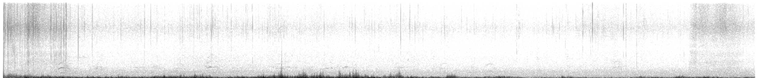Snow Goose - ML634037545