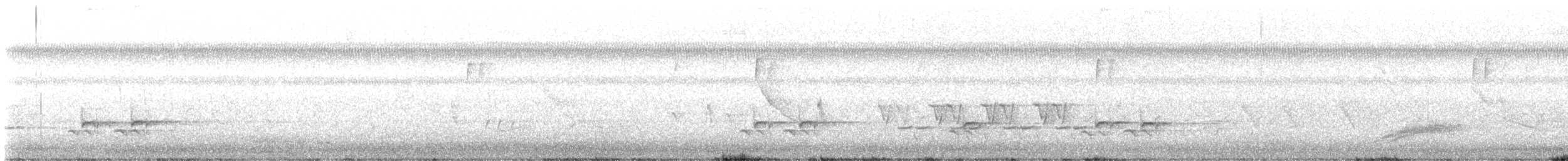 Carolina Wren - ML634037615