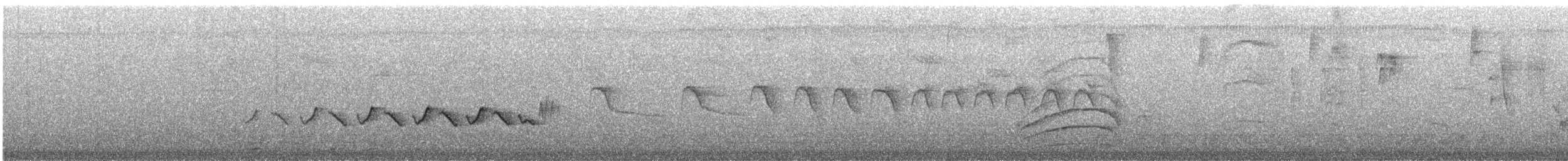 gråhodevireo - ML634038267