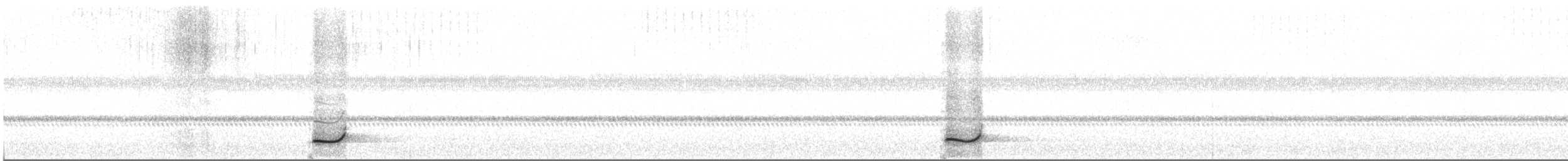 Short-tailed Nighthawk (nattereri) - ML634038906