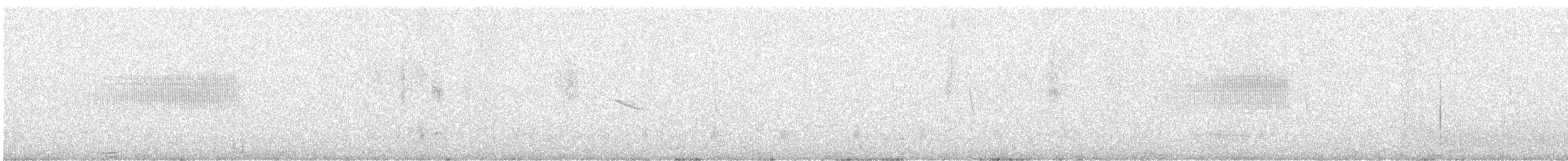 Band-tailed Seedeater - ML634039862