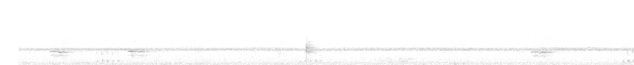 Black-chested Jay - ML634048978