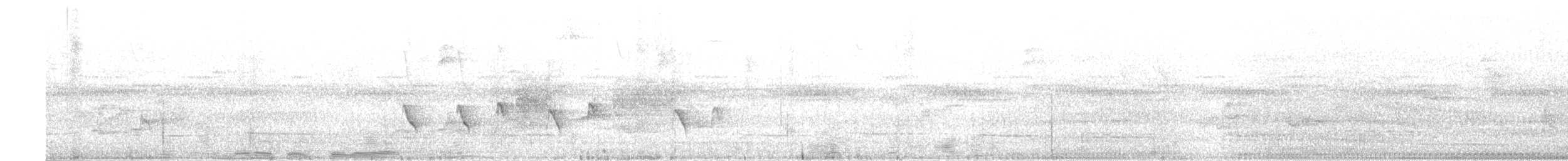 Santa Marta Antbird - ML634049070