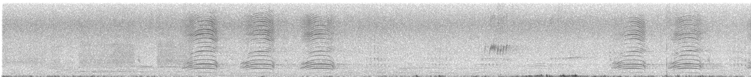 Cuban Palm-Crow - ML634049307