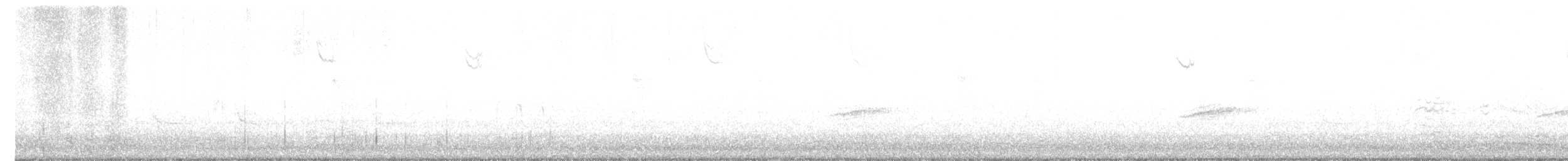 Tohi à flancs roux - ML634050238