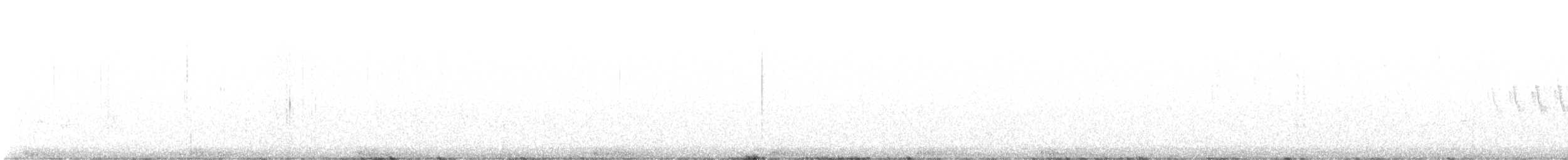 Grace's Warbler - ML634050712