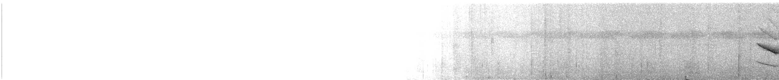 Wire-tailed Manakin - ML634056795