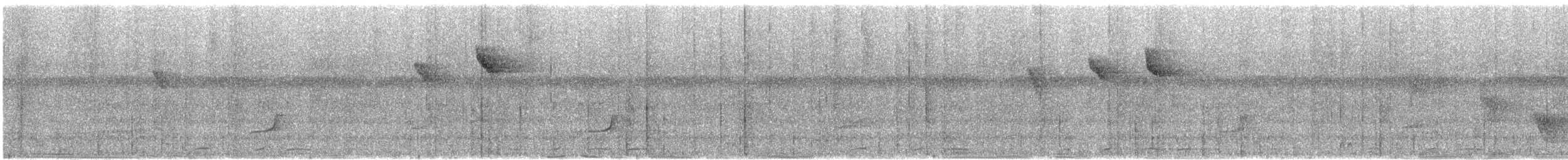 Speckled Spinetail - ML634059690