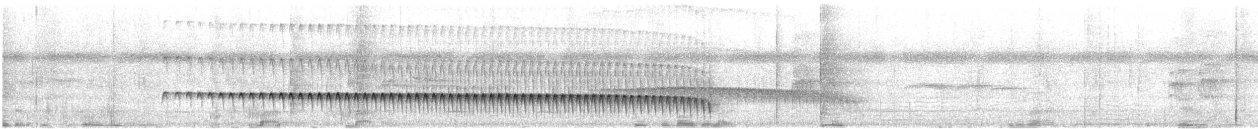 Weißstirn-Ameisenschnäpper - ML634059837