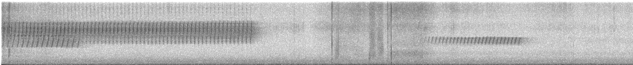 Schwirrammer - ML634060019