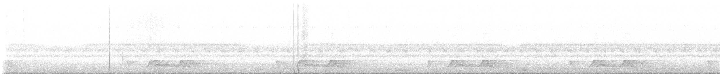 Carolinanachtschwalbe - ML634060173