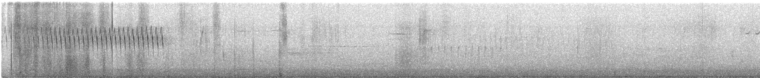 Schwirrammer - ML634060535