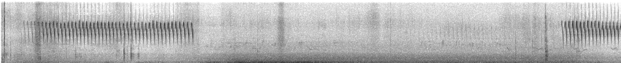 Schwirrammer - ML634060595