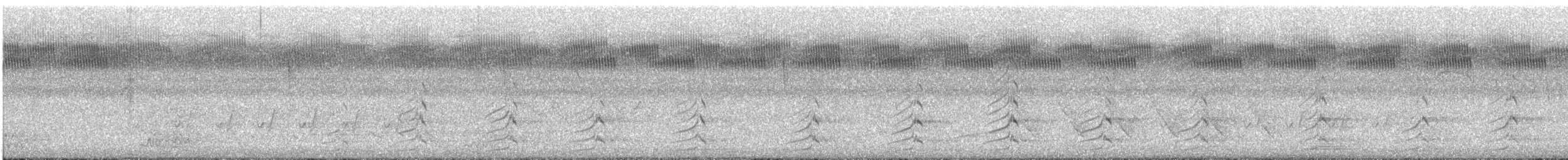 Brautente - ML634060684