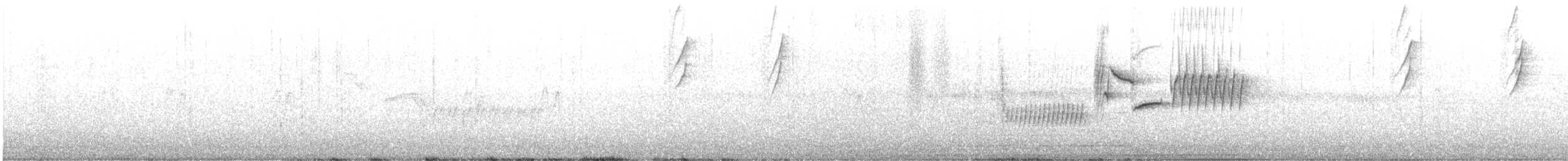 Troglodyte de Bewick - ML634072924